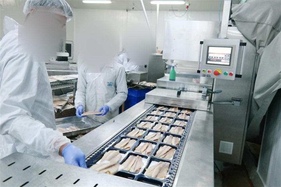 Factory production facility